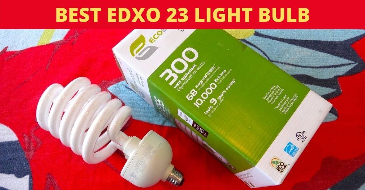 Best edxo 23 light bulb