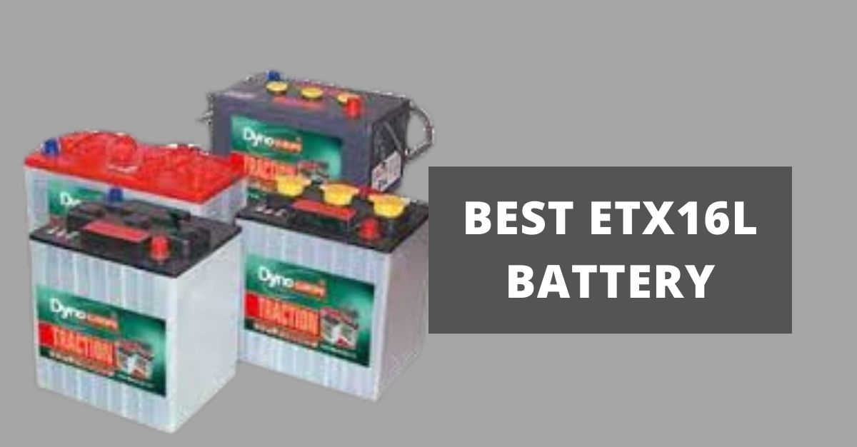 10 Best Etx16l Battery Reviews | January 2022