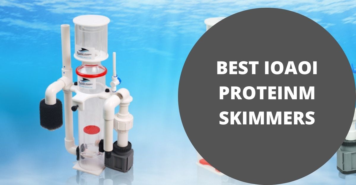 Top 10 Best Ioaoi Protein Skimmers Reviews | January 2022