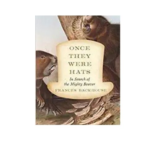 Once-They-Were-Hats:-In-Search-of-the-Mighty-Beaver